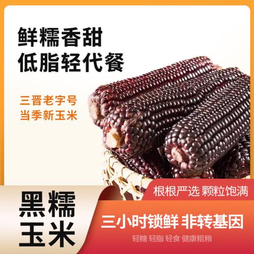 雁门清高鲜糯香甜非转基因黑糯玉米 5斤 商品图0