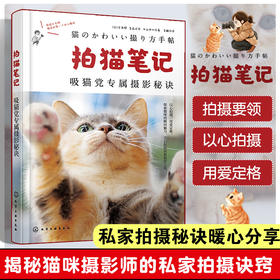 拍猫笔记:吸猫党专属摄影秘诀