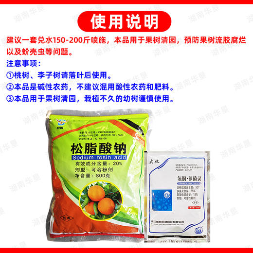 松脂酸钠氢氧化铜多菌灵套餐果树流胶腐烂专用清园灵清园剂介壳虫 商品图5