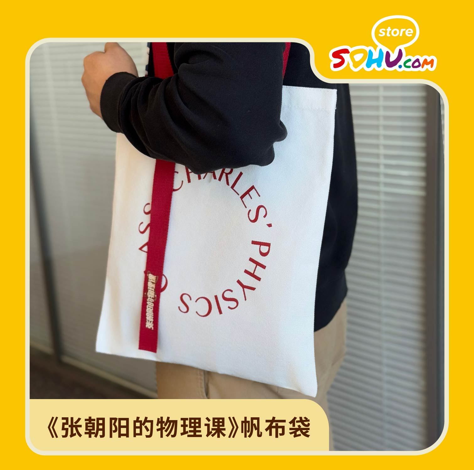 《张朝阳的物理课》周边帆布袋㆐搜狐商城