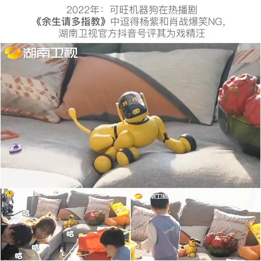 天博智 TBZ可旺三代AI智能仿生机器狗宠物编程启蒙教育机器人 可旺3代 商品图2