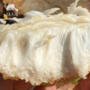 生态释迦果（8折优惠） | 合作生产* Ecological Custard apple | Coproduction 商品缩略图2