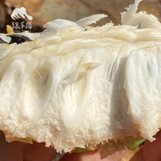 生态释迦果（8折优惠） | 合作生产* Ecological Custard apple | Coproduction 商品图2