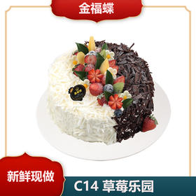 C14 草莓乐园（6英寸）