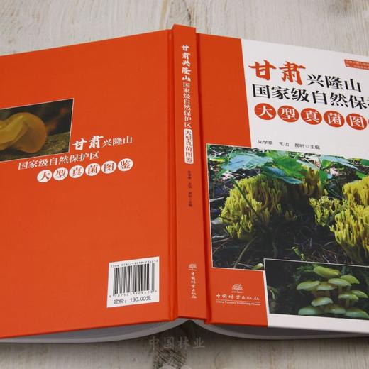 甘肃兴隆山国家级自然保护区大型真菌图鉴（甘肃兴隆山国家级自然保护区第二次综合科学考察系列丛书） &2942 商品图2
