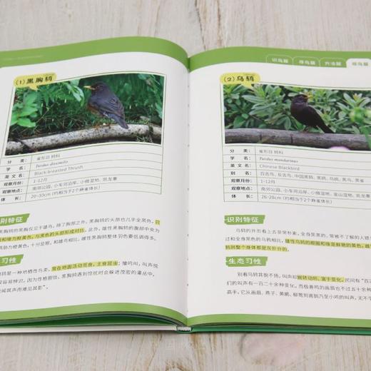 飞羽寻踪——阿哈湖湿地观鸟指南 &2933 商品图3