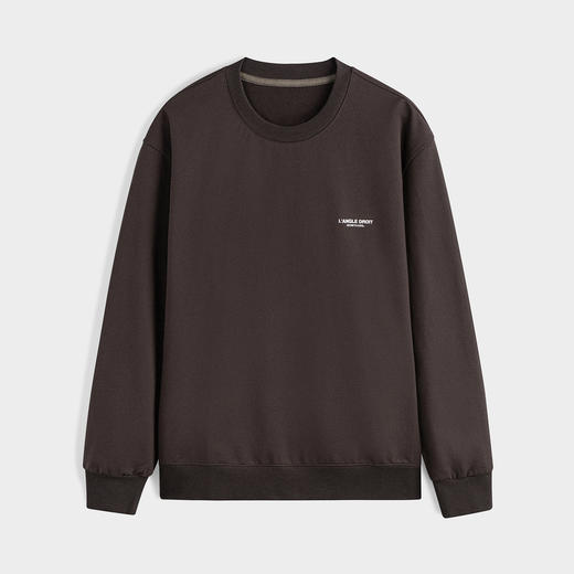 GXG男装 棕色后背印花圆领卫衣 24年春季热卖GFX13100231 商品图4