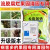松脂酸钠氢氧化铜多菌灵套餐果树流胶腐烂专用清园灵清园剂介壳虫 商品缩略图4