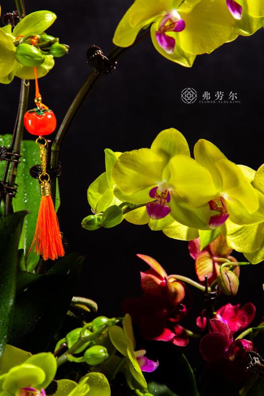 金蛇贺岁 商品图2