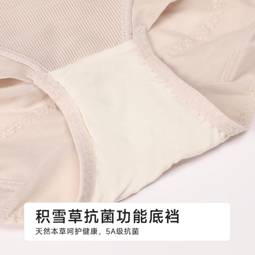 都市丽人平角束裤网纱美体纤塑束裤LTH2C3 商品图7