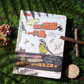《怎样观察一只鸟》克莱尔 观鸟手册 科普笔记-分销