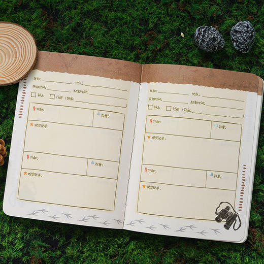 《怎样观察一只鸟》克莱尔 观鸟手册 科普笔记-分销 商品图4