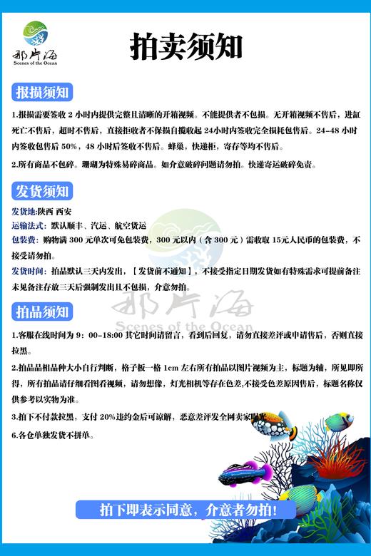 黄金花园鳗/橙花园鳗 商品图1