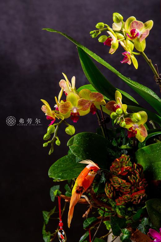 蛇行天际 商品图1