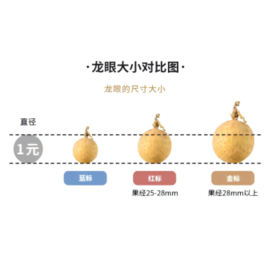 京鲜生泰国进口精选龙眼  净重3斤 果径23-25mm 水果礼盒源头直发