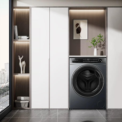 海尔（Haier）洗衣机 XQG120-LDE520H 商品图2