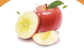 探秘阿克苏冰糖心苹果的甜蜜密码！