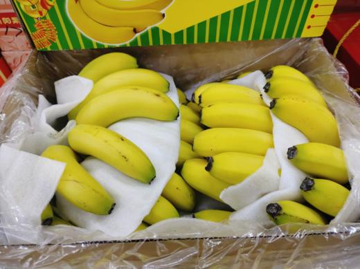 香蕉王礼盒 商品图3