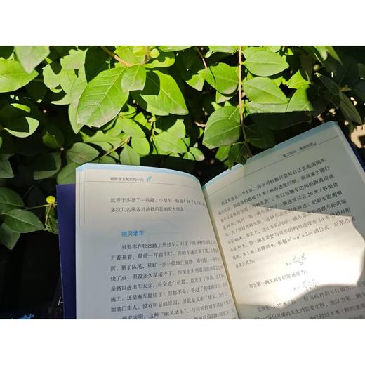 官网 被数学支配的每一天 克里斯 韦林 用数学知识解决生活难题 数学生活指南数学科普书籍 商品图3
