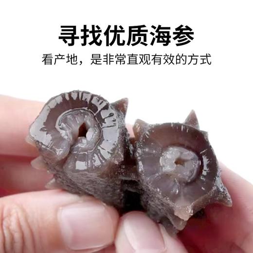 淡干海参  500克/盒 商品图1