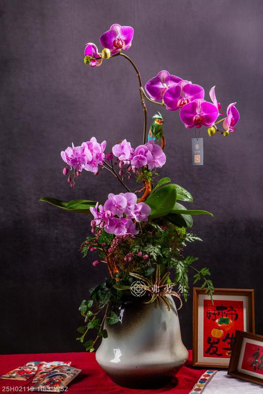 蛇跻高峰 商品图0