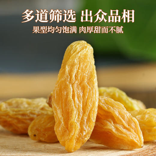 老街口绿葡萄干  250g（树上黄）/袋 商品图1