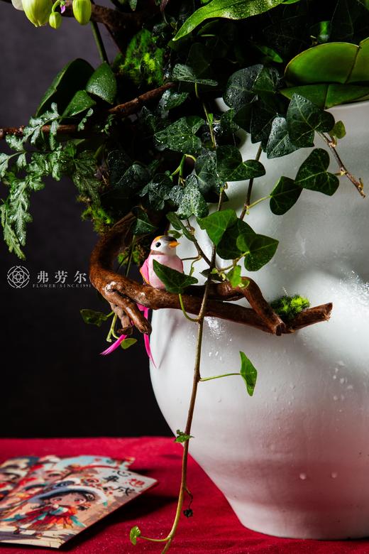 腾蛇御风 商品图3