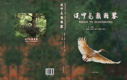 汉中鸟类图鉴 商品图3
