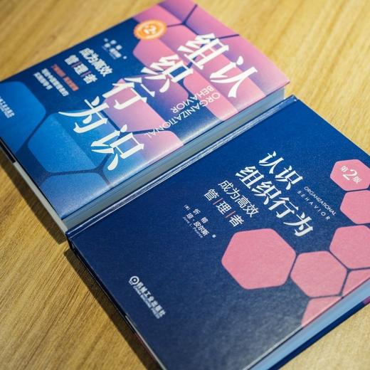 官网 认识组织行为 成为高效管理者 第2版 忻榕 琼 皮尔斯 组织行为学 组织管理 企业经营管理学书籍 商品图2