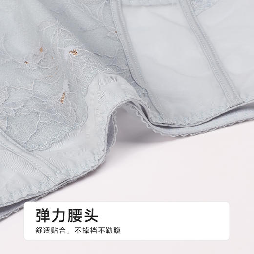 都市丽人塑身平角配套内裤网纱美体纤塑塑身配裤LPH9C7 商品图4