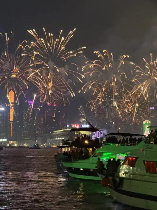 大年初二蛇年新春煙花匯演 商品图0