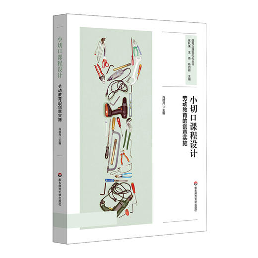 小切口课程设计 劳动教育的创意实施 中小学案例 商品图0