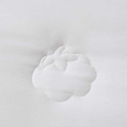 芳恩 FN-B6044 生态倍暖绒棉花被 200×230cm 商品图3