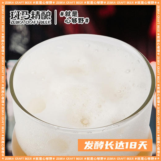 【带你一口穿越德国！】斑马精酿德式醇厚小麦精酿啤酒500ml*12罐 酒体纯正浓郁小麦香 商品图3