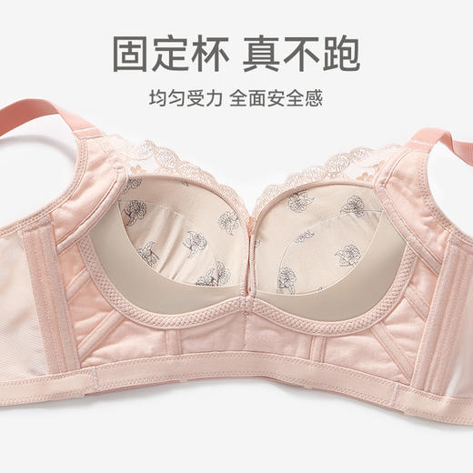 芬腾内衣女上托防下垂聚拢文胸女款性感蕾丝无钢圈舒适收副乳胸罩 商品图1