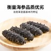 淡干海参  500克/盒 商品缩略图5
