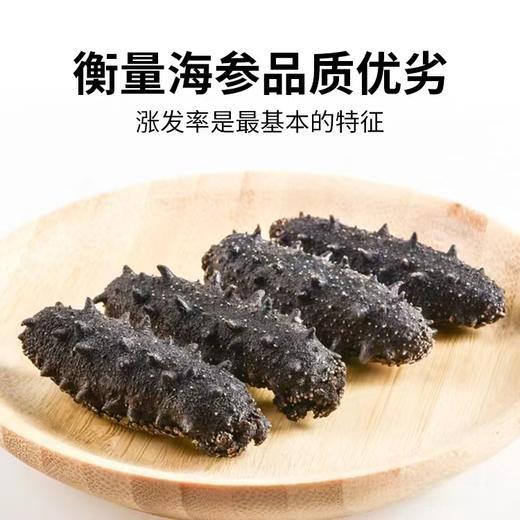 淡干海参  500克/盒 商品图5