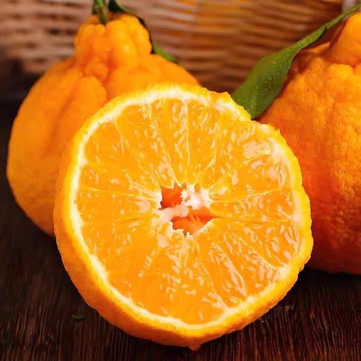 春见耙耙柑 500g 商品图1