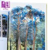 【中商原版】【法文版】法漫 海滨乡村 吉贝尔在诺曼底 法国漫画家Emmanuel Guibert绘 法文原版 Guibert en Normandie 商品缩略图2