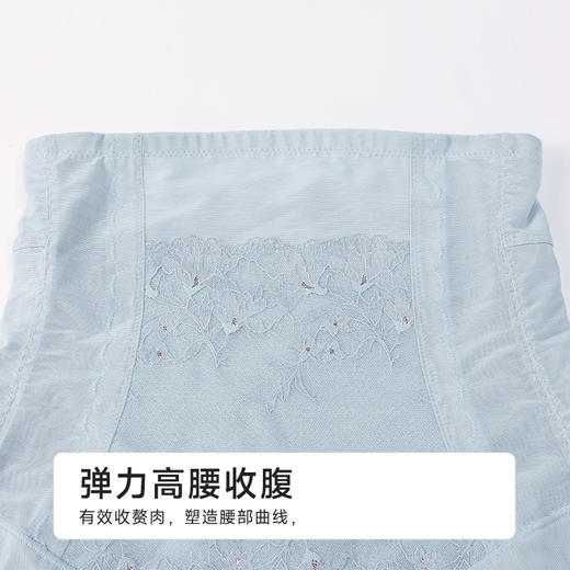 都市丽人平角束裤网纱美体纤塑束裤LTH2C7 商品图4