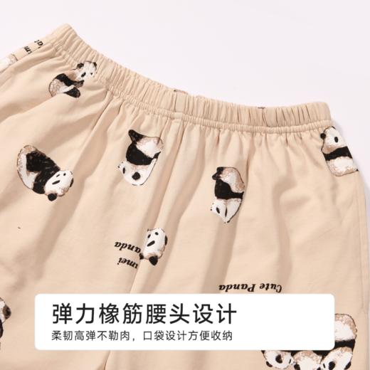 都市丽人童装正价棉质短袖套装薄32支纯棉单面亲情蜜语短袖类JHH9B4 商品图8