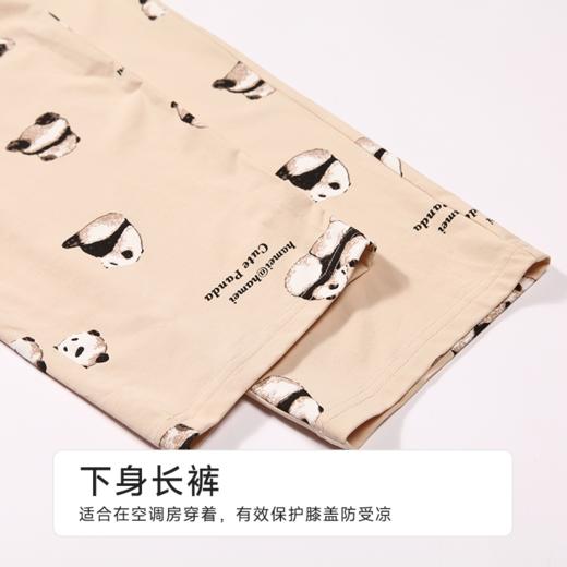 都市丽人女士棉质短袖套装薄32支纯棉单面亲情蜜语短袖类LHH9B4 商品图6