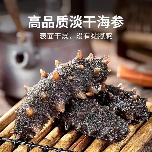 淡干海参  500克/盒 商品图2