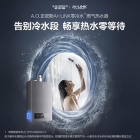 【JSQ31-WDJWi】AI-LiNK烟管居中零冷水燃气热水器