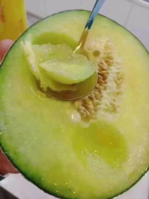 冰淇淋网纹瓜 商品图6