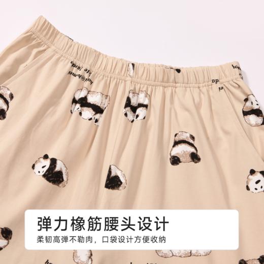 都市丽人女士棉质短袖套装薄32支纯棉单面亲情蜜语短袖类LHH9B4 商品图8