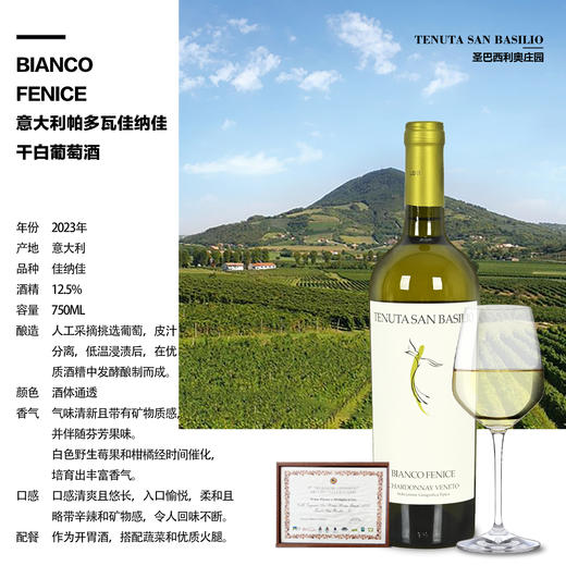 一箱 意大利帕多瓦特级佳纳佳干白葡萄酒 750ML 酒精度12.5%  原瓶原装进口 商品图1