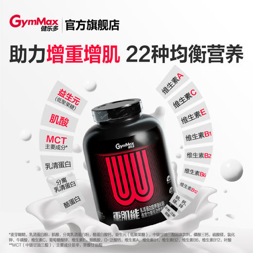 健乐多GymMax运动增肌蛋白粉助力增肌乳清蛋白粉瘦人健身增重蛋白营养粉 商品图4