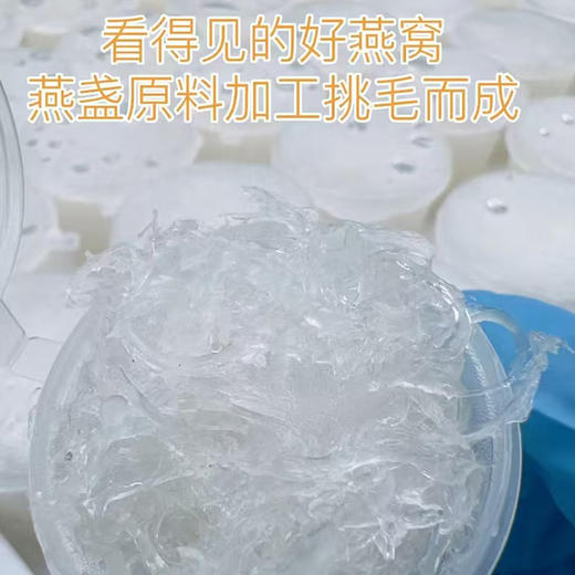 冰鲜燕窝 3.5克*30盒（送燕窝专用电炖盅） 商品图0