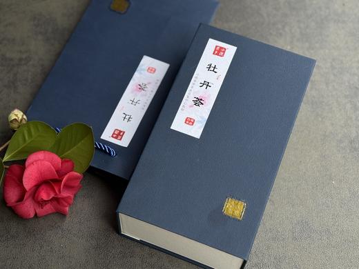 【春茶品鉴】《牡丹荟》，从有机、荒野、抛荒、到台地，一次性带您喝懂白牡丹 商品图1